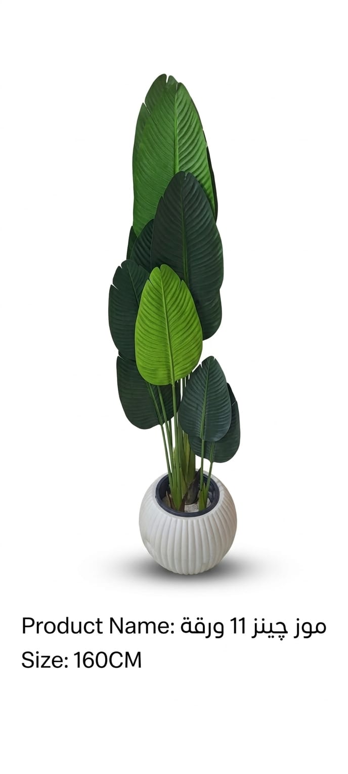 أشجار حبيب ستور الفاخرة